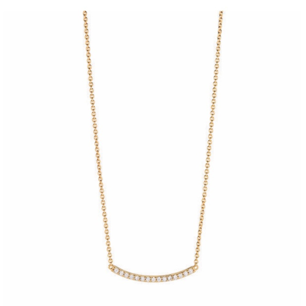 BRAND NEW Gold “I will preserve” Curved Necklace